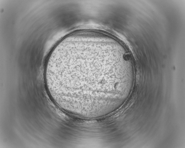 X0000086951464200705071431