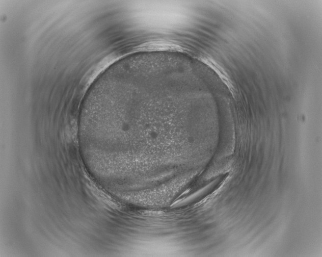 X0000086951465200705071431