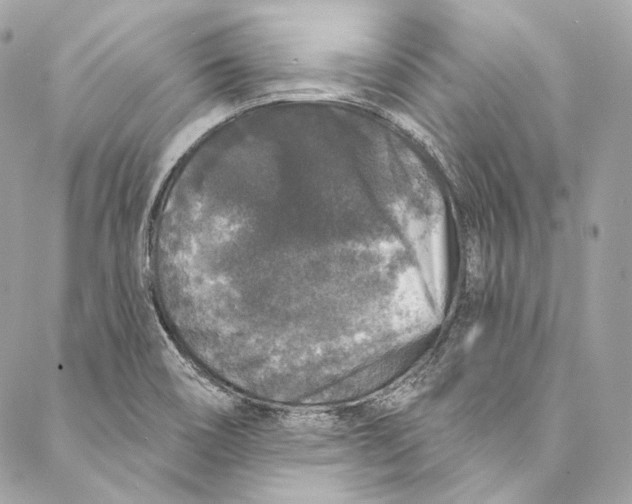 X0000086951466200705071431