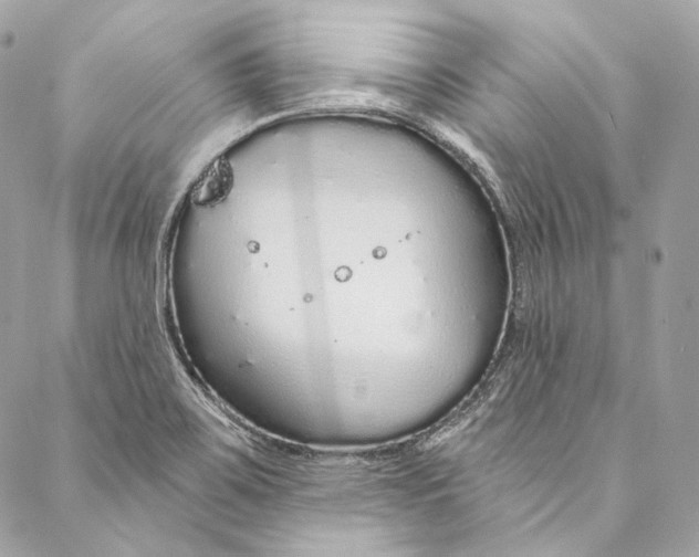 X0000086951467200705071431