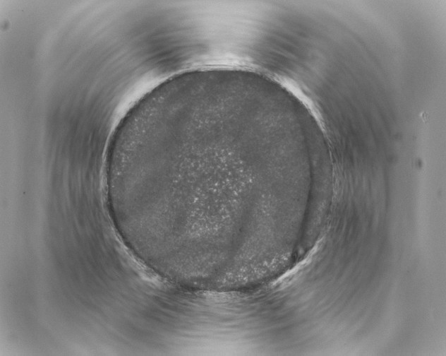 X0000086951469200705071431