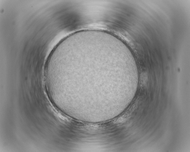 X0000086951470200705071431