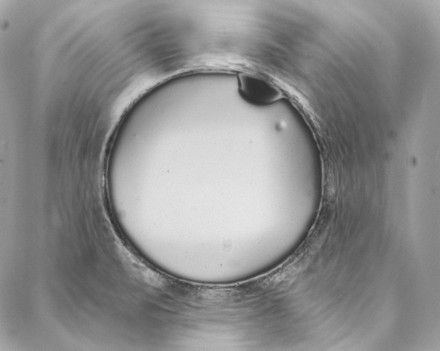 X0000086951471200705071431