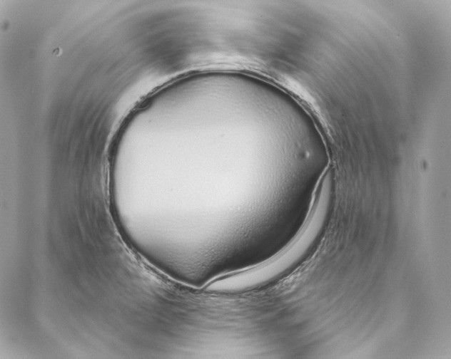 X0000086951472200705071431