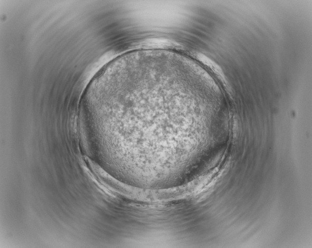 X0000086951473200705071431