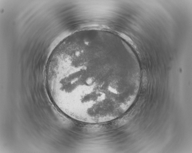 X0000086951474200705071431