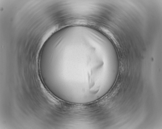 X0000086951475200705071431