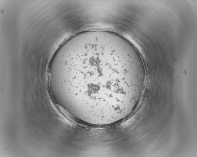 X0000086951477200705071431