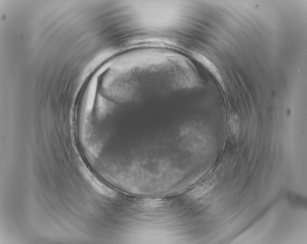 X0000086951482200705071431