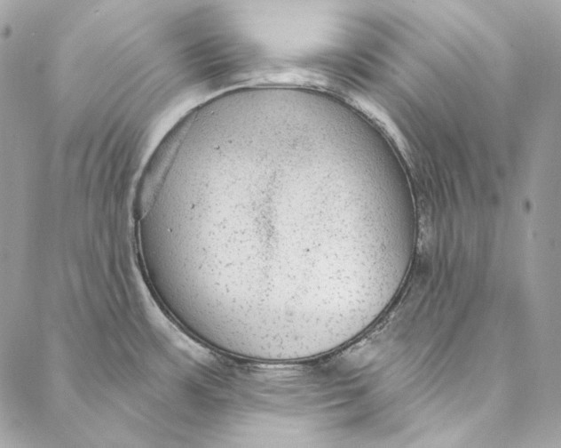 X0000086951483200705071430