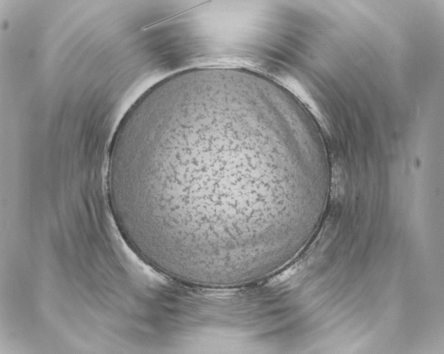 X0000086951484200705071430