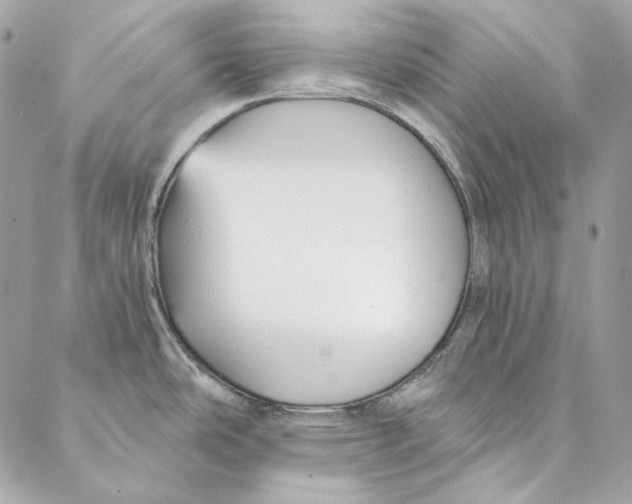 X0000086951486200705071430