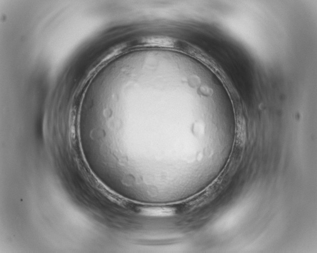 X0000086951487200705071430