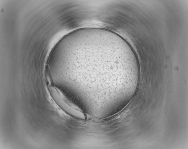 X0000086951488200705071430