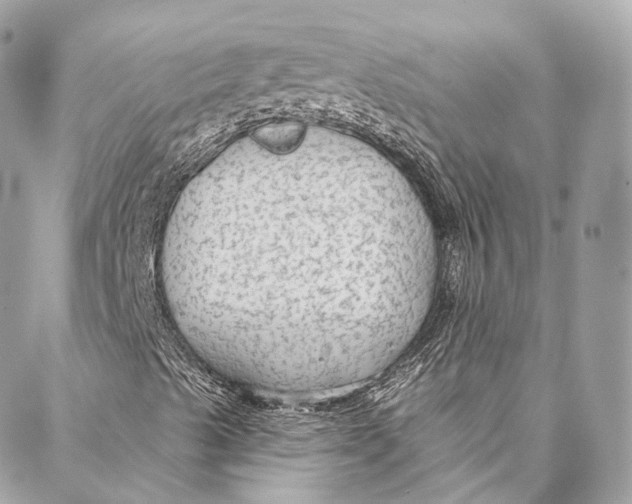 X0000086951489200705071430