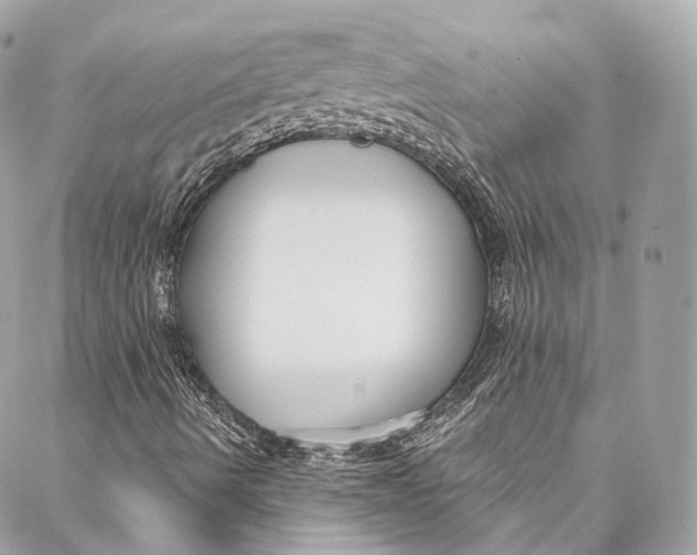 X0000086951490200705071430