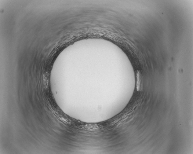 X0000086951491200705071430