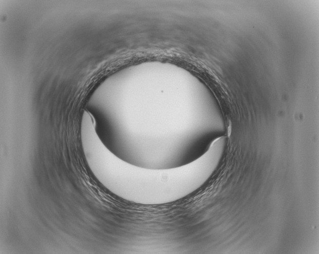 X0000086951492200705071430