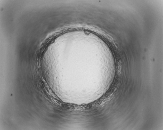 X0000086951494200705071430