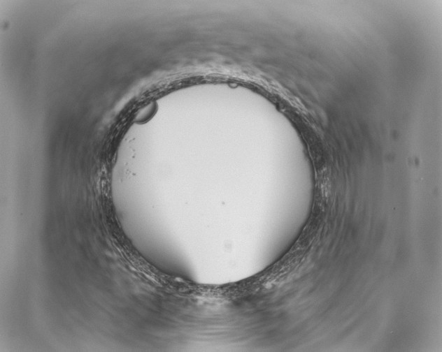 X0000086951495200705071430