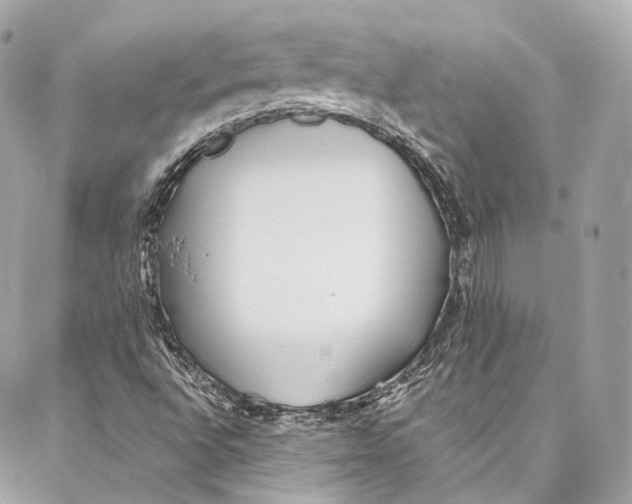 X0000086951496200705071430