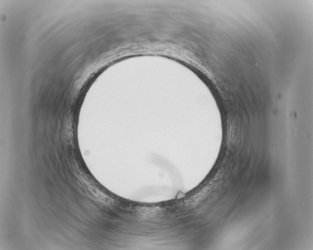 X0000086951498200705071430