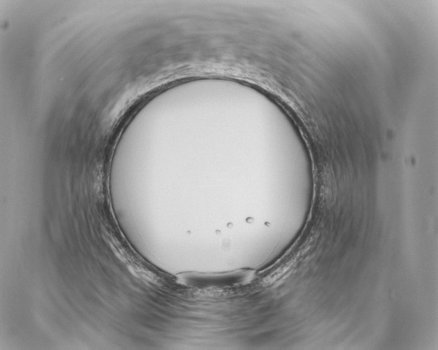 X0000086951499200705071430