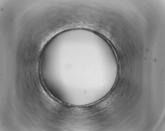 X0000086951500200705071430