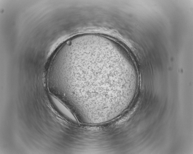 X0000086951501200705071430