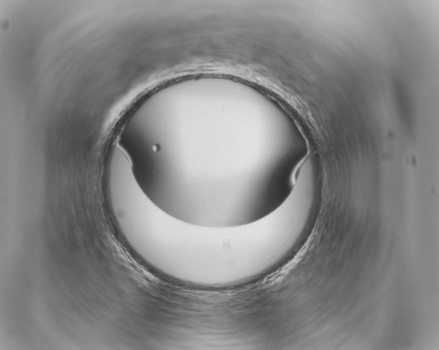 X0000086951502200705071430