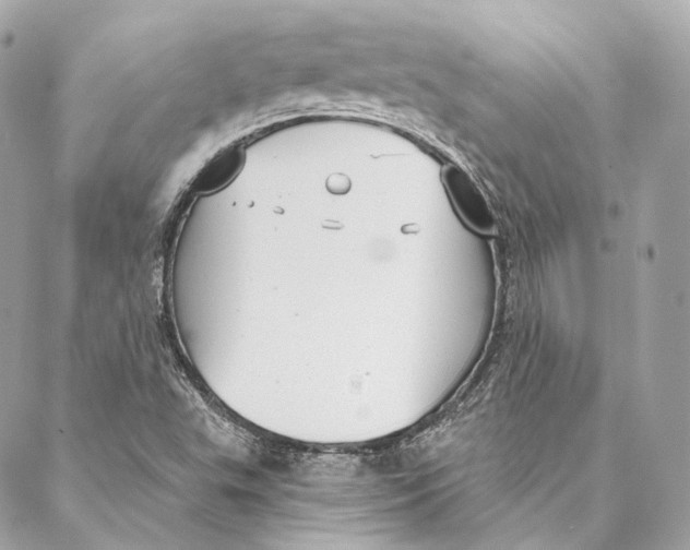 X0000086951503200705071430