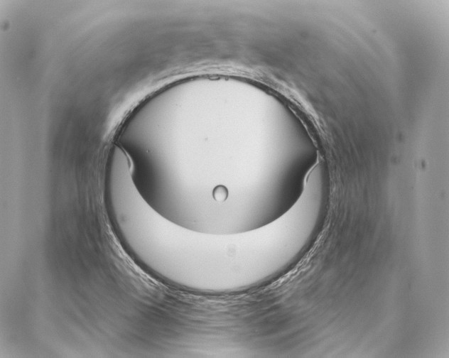 X0000086951504200705071430