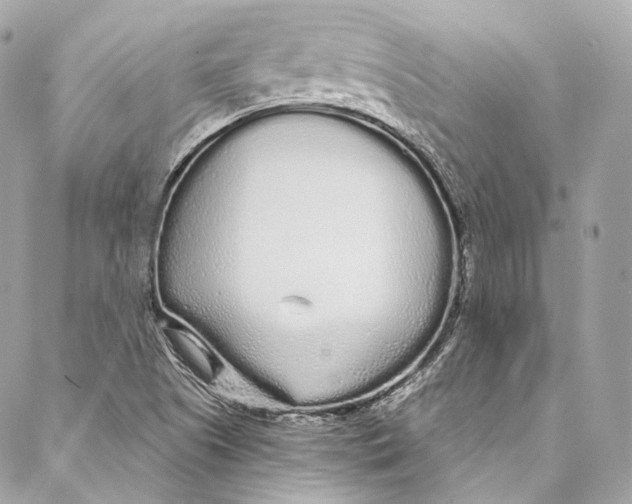 X0000086951505200705071430