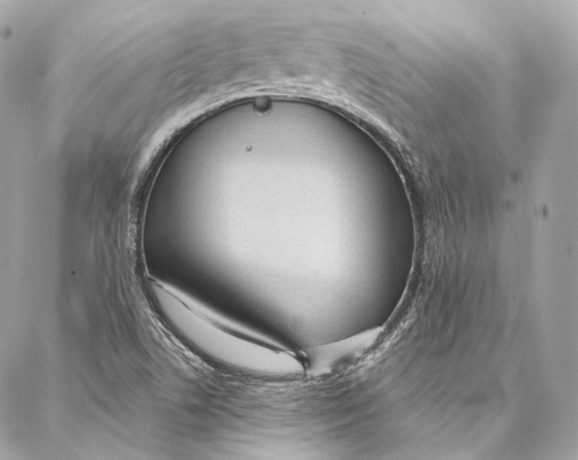 X0000086951506200705071430