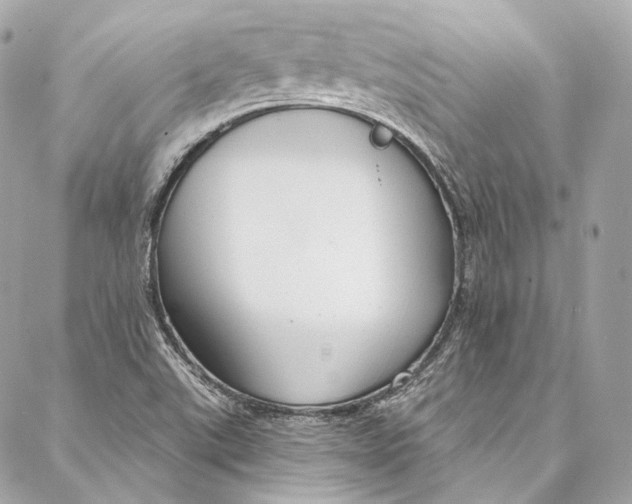 X0000086951507200705071430