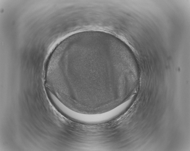 X0000086951508200705071430