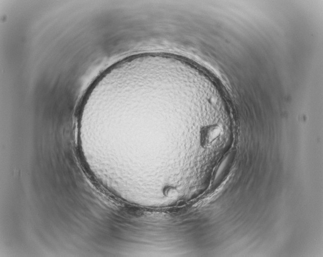 X0000086951509200705071430