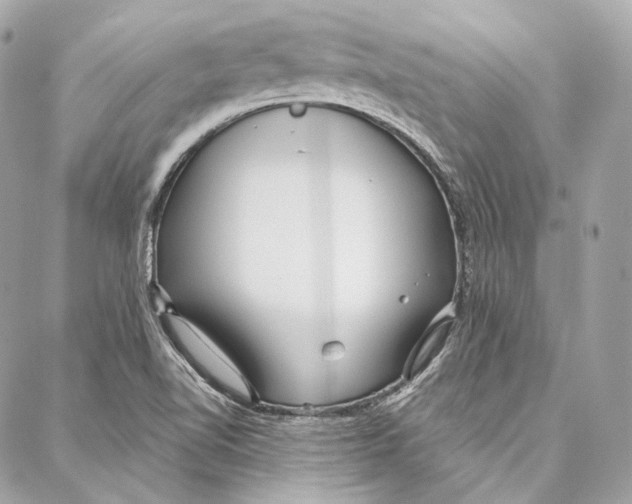 X0000086951510200705071430