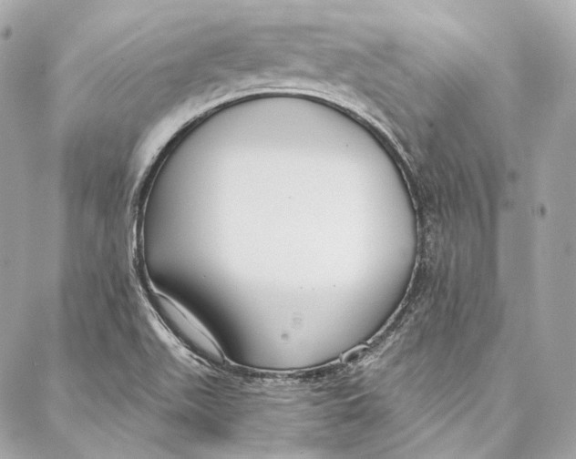 X0000086951511200705071430