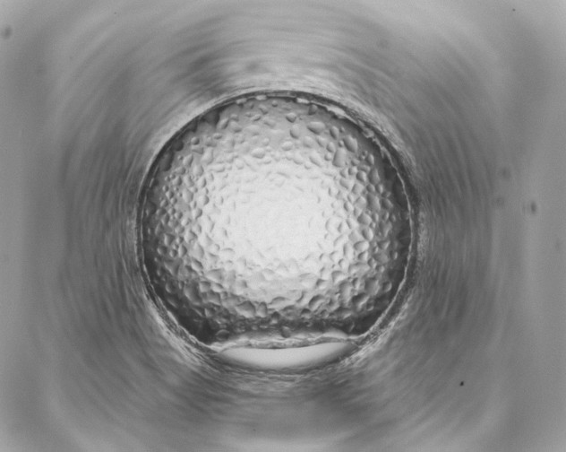 X0000086951513200705071430