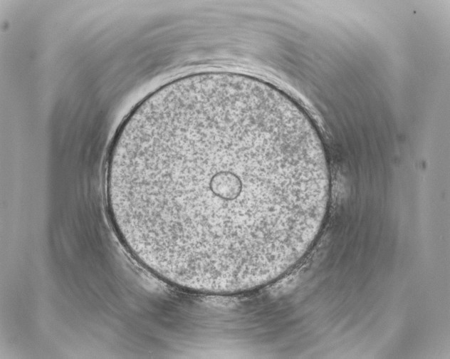 X0000086951514200705071430