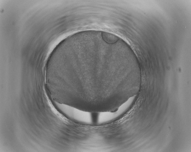 X0000086951515200705071430