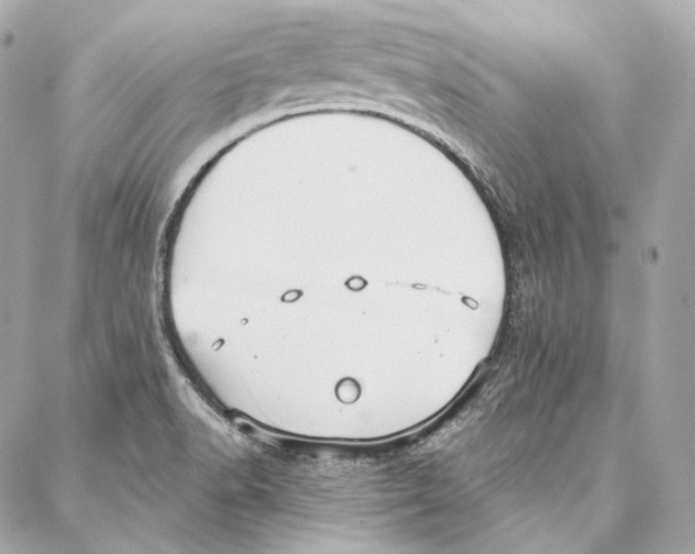 X0000086951518200705071430