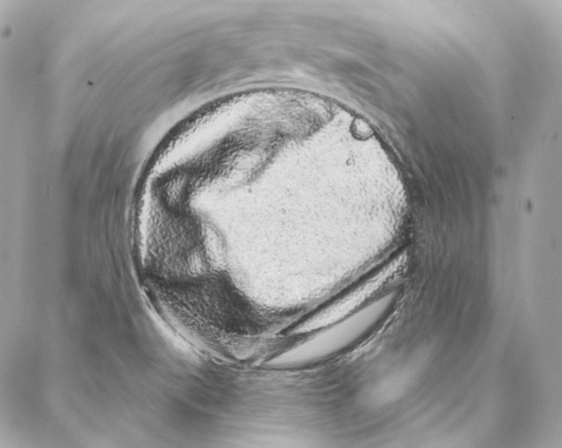 X0000086951519200705071430