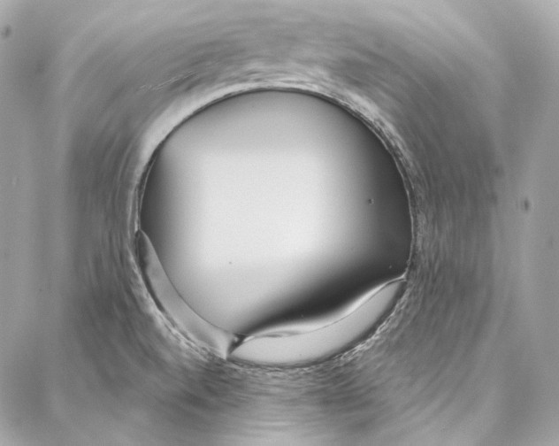 X0000086951520200705071430