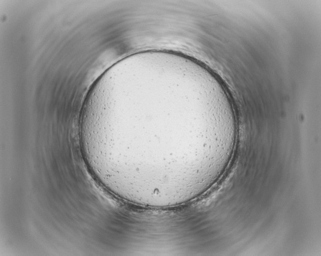 X0000086951521200705071430