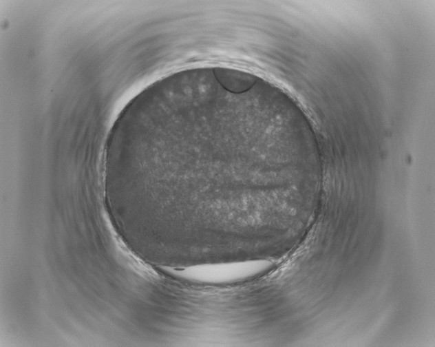 X0000086951522200705071430