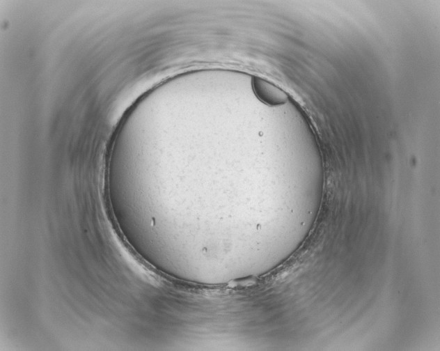 X0000086951523200705071430