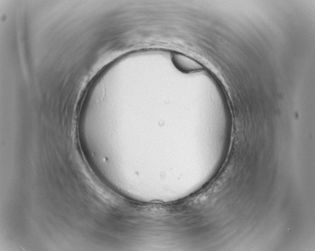 X0000086951525200705071430