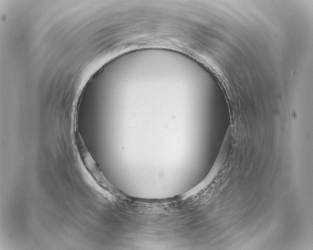 X0000086951528200705071430